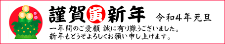 މVN