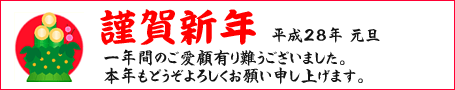 މVN
